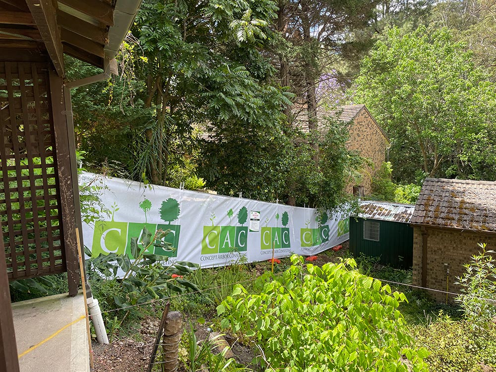 Tree Planting and Planting Specifications